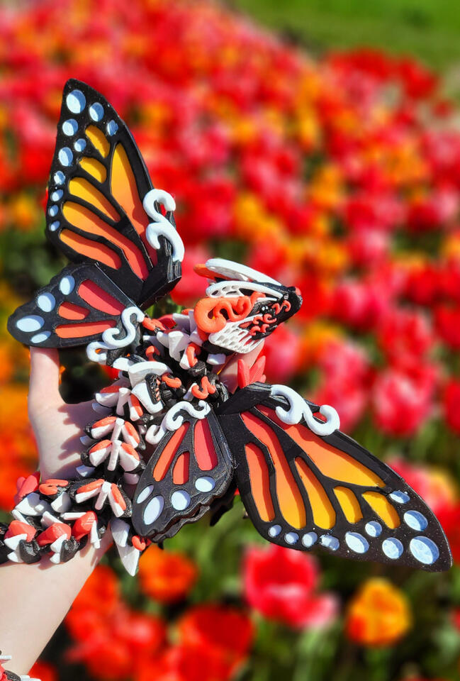 Monarch Butterfly Dragon